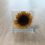Custom Sunflower Paperweight Acrylic Globe Paperweight