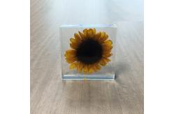 China Custom Sunflower Paperweight Acrylic Globe Paperweight supplier