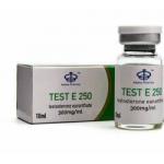 Adhesive 10ml Muscle Development vial Vial Labels