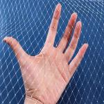 Long Lasting Protection Anti Bird Net with UV Stabilized Chinlon Material