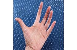 China Long Lasting Protection Anti Bird Net with UV Stabilized Chinlon Material supplier