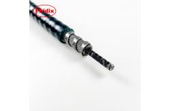 China inner-wire-core-failure-analysis supplier