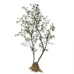 200cm Height Artificial Landscape Trees For Garden Exhibition Decor for sale