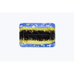 Professional Manufacturer Recyclable Plastic Food Packaging Sushi Trays for Food Container for sale