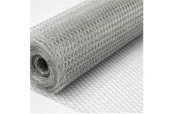 China Stainless Steel Bwg14 Hexagonal Chicken Wire Mesh 10x0.5m For Poultry supplier