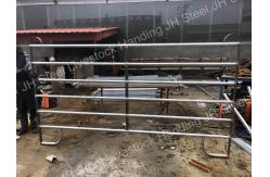 China Metal Cattle / Horse Fence Panels / Portable Corral Panels Corrosion Resistant supplier