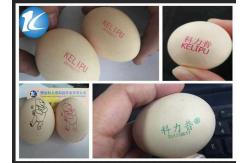 China Characters / Expiry Date Code Printing Machine / Egg Stamping Equipment supplier