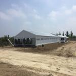 Poultry Farm Chicken House Light Prefabricated Steel Structure Building for sale