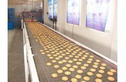 China                  Automatic Conveyor System/Conveyor Board/Conveying              supplier
