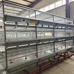 China Poultry Equipment Broiler Chicken Cage 100kg Load Bearing Not Broken for sale
