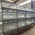 Poultry Farm Equipment Chicken Broiler House Design Broiler Chicken Cage System Broiler Farm Chicken Coop for sale