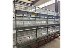 China High Brood Survival Rate Layer Chicken Broiler Cage For Little Chick supplier