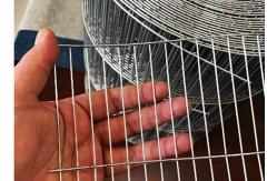 China Iron Galvanized Welded Wire Mesh Roll For Bird Hot dipped Zinc Coated supplier