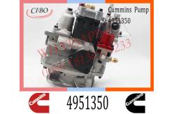 China Cummins Diesel NT855 Engine Fuel Injection Pump 4951350 3074835 3646708 supplier