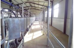 China Parallel Quick Release Automatic Cow Milking Parlor Electric Milk Meter supplier