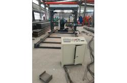 China DS2000 Automatic Double Blades Circular Sawing Swing Blade Saw Mill Machine supplier