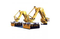 China 40 - 60second/Time Automatic Setting Robot Automation Robotic Packaging 0.8Mpa supplier