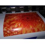 Flad manufacturer wholesale Self Adhesive Vinyl for Car Wrapping for sale