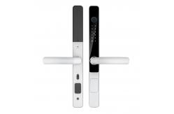 China IP65 Waterproof Smart Tuya Wifi Remote Control TTlock App Digital Door Lock supplier