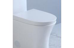 China MAP1000 Chair Height One Piece Skirted Toilets With Concealed Trapways Siphon supplier