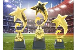 China Custom Logo Plastic Trophy Cup With Star Design Three Sizes Optional supplier