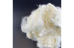 China Virgin Silicone-Free Flame Retardant Hollow Conjugated Polyester Staple Fiber 51mm supplier
