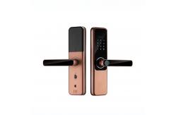 China Unlock Method Tuya TTlock Password Fingerprint Smart Locks For Home supplier
