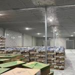 Fruit / Vegetable Freezer Cold Room Cold Storage Units For Fresh Keeping / Freezing for sale