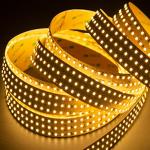 DC 12 or DC24 V LED Strip Light With Different Light Color for sale