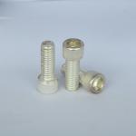 ODM Stainless Steel Truss Head Machine Screws Silverplated SS316 for sale