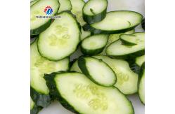 China Steric Circle Knife Set Vegetable Processing Machine Potato Cutting Input Funnel supplier