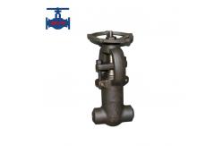 China Class 1500-2500 Pressure Seal Gate Valve Weldable API 602 Gate Valve supplier