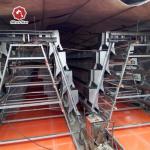 Automatic Layer And Broiler 3 Tiers 4 Tiers Poultry Cages For Layer Chickens  50000 Birds for sale
