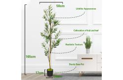 China Olive Tree Rain Forest Style Artificial PE Bonsai 165cm Green Fire Retardant supplier