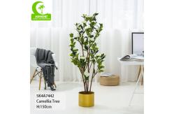 China 150cm Durable Artificial Ficus Tree . Artificial Camellia Tree With White Flower supplier