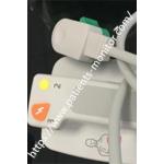 PHiliph Effica DFM100 Defibrillator Patient Monitor Parts Paddle REF 453564810911