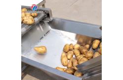 China 380V Vegetable Processing Machine Automatic Elevator Food Conveying supplier