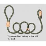 Mesh Dog Leash Training Dog P Chain Flush Adjustable Dog Leash