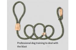 China Mesh Dog Leash Training Dog P Chain Flush Adjustable Dog Leash supplier