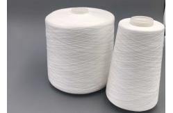 China Eco Friendly Ne 30S/2 100% Spun Polyester Hand Quilting Thread supplier