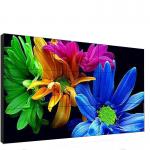 46 Inch Indoor Video Wall 3x3 3840*2160 Max Resolution Vivid Image Outline for sale