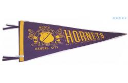 China 150D Polyester Advertising Sports Pennant Flag Triangle Shape supplier