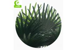 China UV Resistance H700cm Artificial Tropical Tree , Fake Palm Plant Indoor supplier