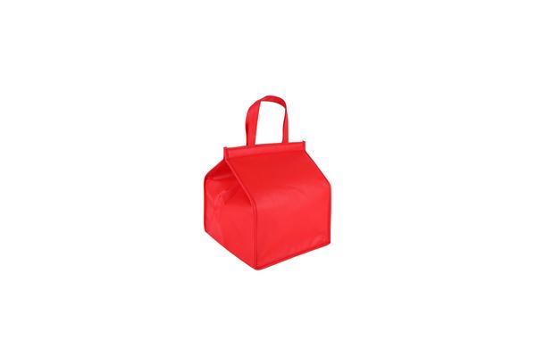 Great Insulation Polyester Cooler Bag for Keeping Food and Drinks Fresh