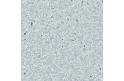 China 3.0mm Thickness Homogeneous Flooring Sustainable High Stain Resistance supplier