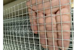 China Hot Dipped Galvanized Welded Wire Mesh With 0.5mm 1.2mm supplier