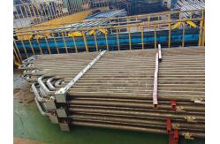 China Custom Austenitic Stainless Steel Superheater Reheater supplier