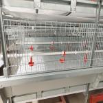 Poultry Farm Q235 3 - 4Tier Battery Chicken Cage Broiler Breeding Use for sale