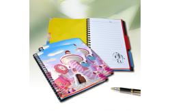 China Custom 3D Lenticular Printing Card Lenticular Plastic Sheet Lenticular Printing Books supplier