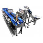 300WPM 1000g Fruit And Vegetable Packaging Machine Weight Sorting Machine for sale